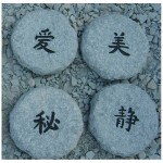 Round stepping stones gray granite
