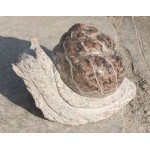 KZ-394-2, Stone Snail Statue Garden Ornaments for sale