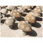 Natural stone mushrooms