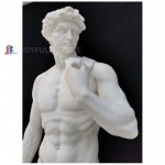 Copy of Michelangelo's David in White Marble