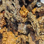 Decorative Aquarium Brown Dragon Stone