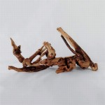 Aquarium Driftwood – Natural Wood for Aquascaping & Habitat Design