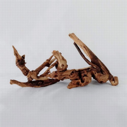Aquarium Driftwood – Natural Wood for Aquascaping & Habitat Design