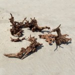Aquarium Driftwood – Natural Wood for Aquascaping & Habitat Design