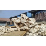 Decorative Coral Stone – Premium Aquarium & Terrarium Rock