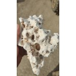 Decorative Coral Stone – Premium Aquarium & Terrarium Rock
