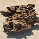 Natural Driftwood Tree Trunk for Aquarium Decoration