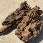 Natural Driftwood Tree Trunk for Aquarium Decoration