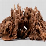 Natural Driftwood Tree Trunk for Aquarium Decoration
