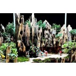 Natural Driftwood Tree Trunk for micro landscape Shrimp Driftwood
