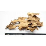 Natural Driftwood Tree Trunk for micro landscape Shrimp Driftwood
